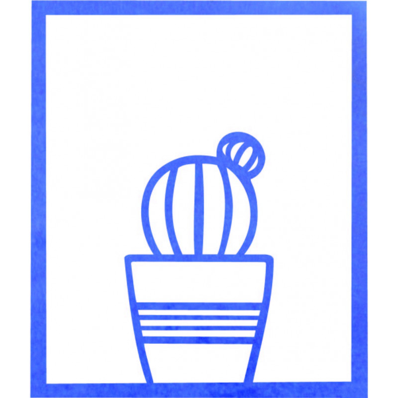 Moderný obraz na stenu - KAKTUS ALDER | SENTOP