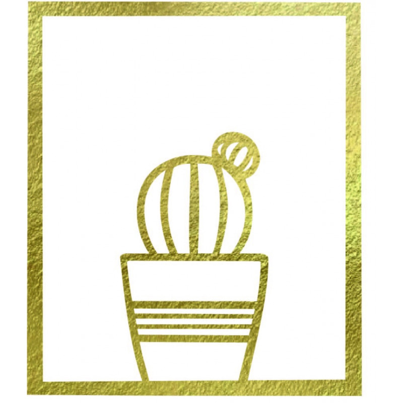 Moderný obraz na stenu - KAKTUS ALDER | SENTOP