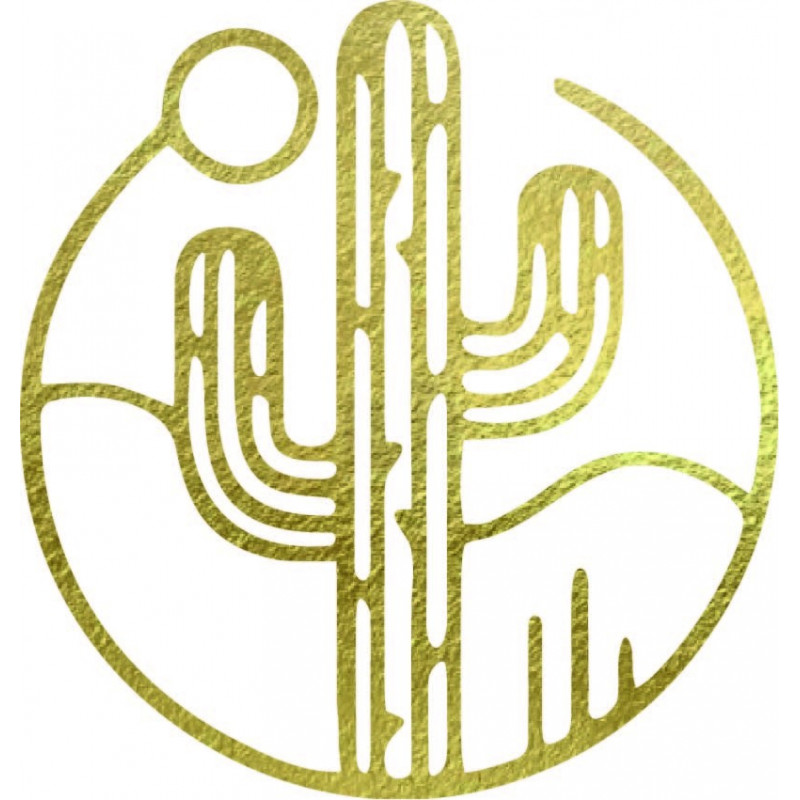 Drevený obraz na stenu kaktus so slnkom - MONK