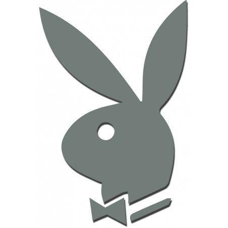 Dekoračné zrkadlá. Zrkadlové samolepky na stenu, ako obraz alebo dekorácia, 3D acryl nálepka Dekoračné zrkadlá. Zrkadlové samolepky na stenu, ako obraz alebo dekorácia, 3D acryl nálepka