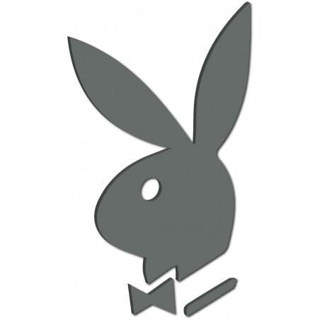 Dekoračné zrkadlá. Zrkadlové samolepky na stenu, ako obraz alebo dekorácia, 3D acryl nálepka Dekoračné zrkadlá. Zrkadlové samolepky na stenu, ako obraz alebo dekorácia, 3D acryl nálepka