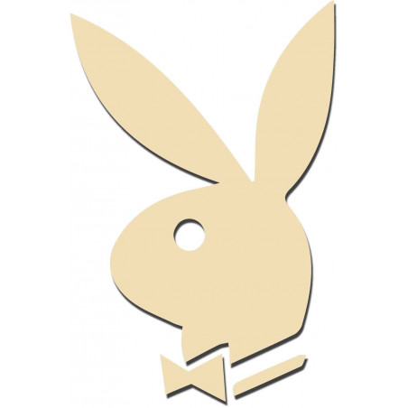 Dekoračné zrkadlá. Zrkadlové samolepky na stenu, ako obraz alebo dekorácia, 3D acryl nálepka Dekoračné zrkadlá. Zrkadlové samolepky na stenu, ako obraz alebo dekorácia, 3D acryl nálepka