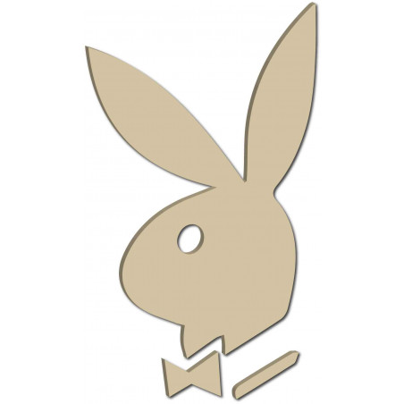 Dekoračné zrkadlá. Zrkadlové samolepky na stenu, ako obraz alebo dekorácia, 3D acryl nálepka Dekoračné zrkadlá. Zrkadlové samolepky na stenu, ako obraz alebo dekorácia, 3D acryl nálepka