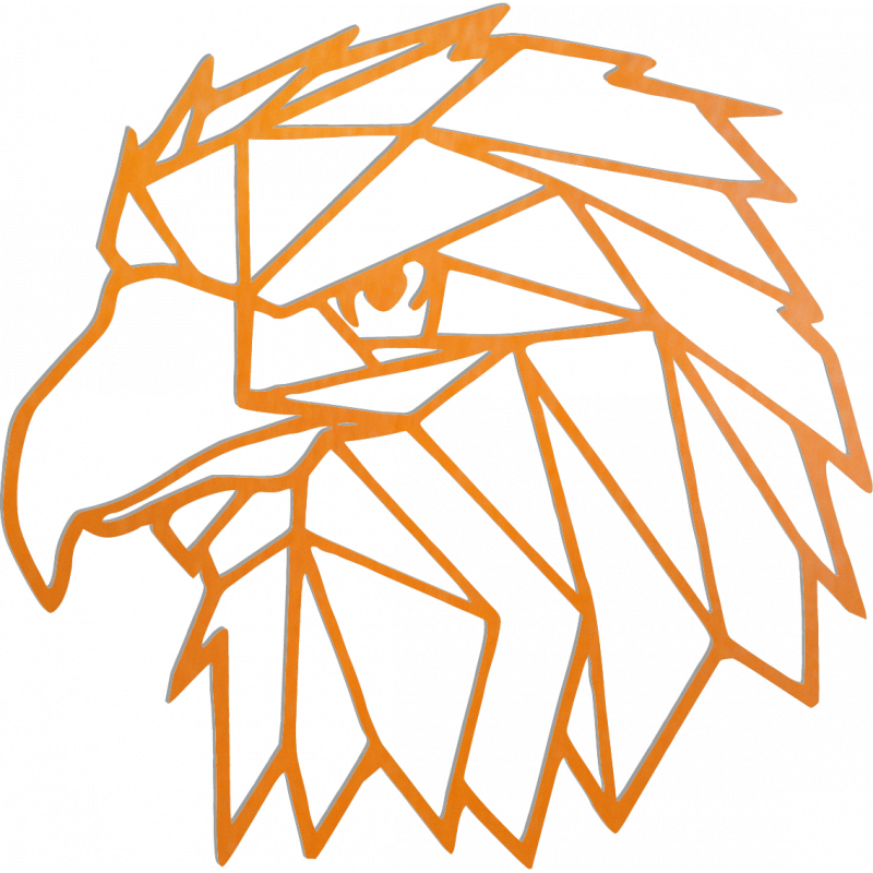 STYLESA Vyrezávaný obraz na stenu geometrické tvary orol PR0234 čierny