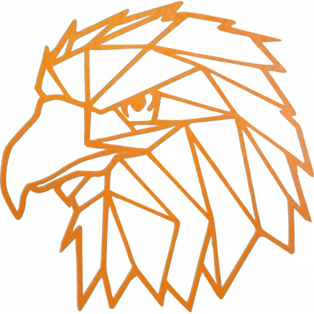 STYLESA Vyrezávaný obraz na stenu geometrické tvary orol PR0234 čierny