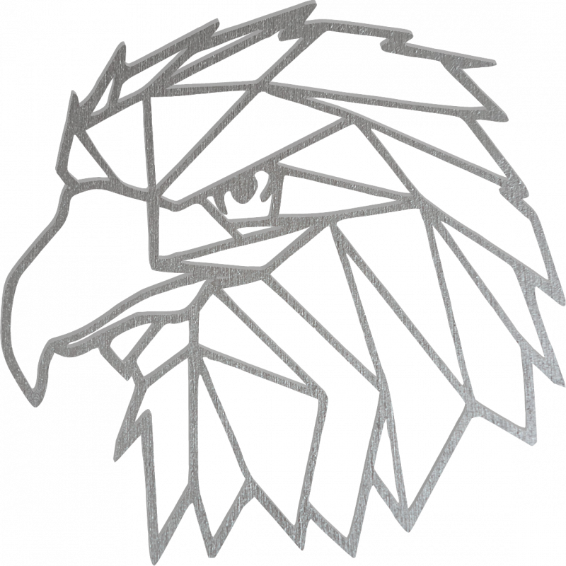 STYLESA Vyrezávaný obraz na stenu geometrické tvary orol PR0234 čierny