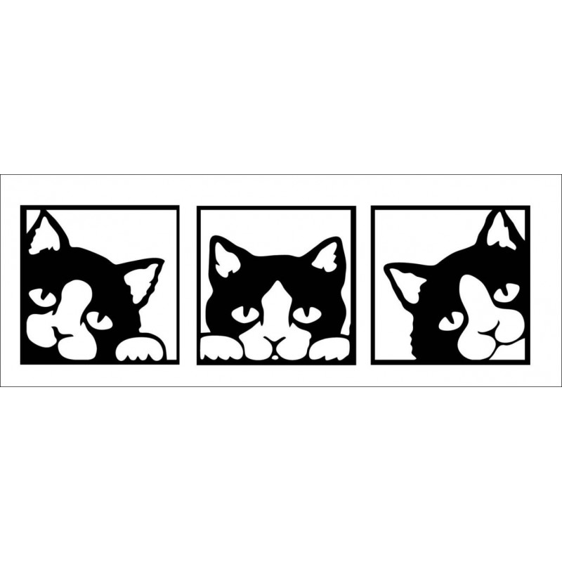 Moderný obraz na stenu mačky, obraz do kuchyne, veľký obraz na stenu do obývačky, 3D obraz